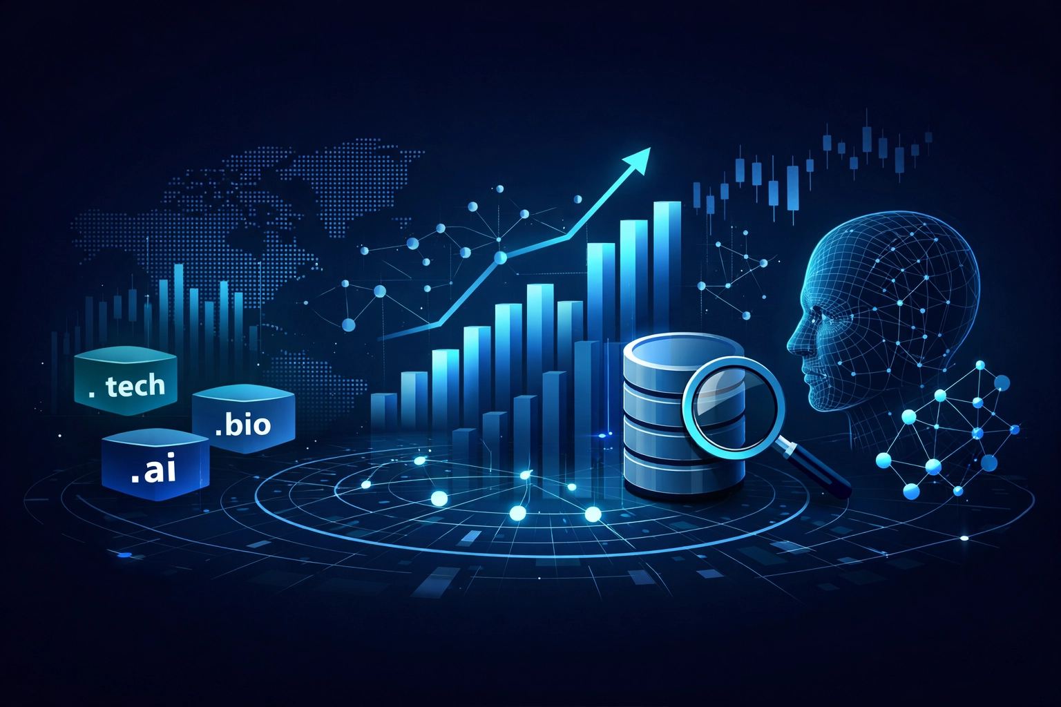 Niche TLD Portfolios as Market Signals: A Data-Driven Framework for Investment Research and ML Data Curation